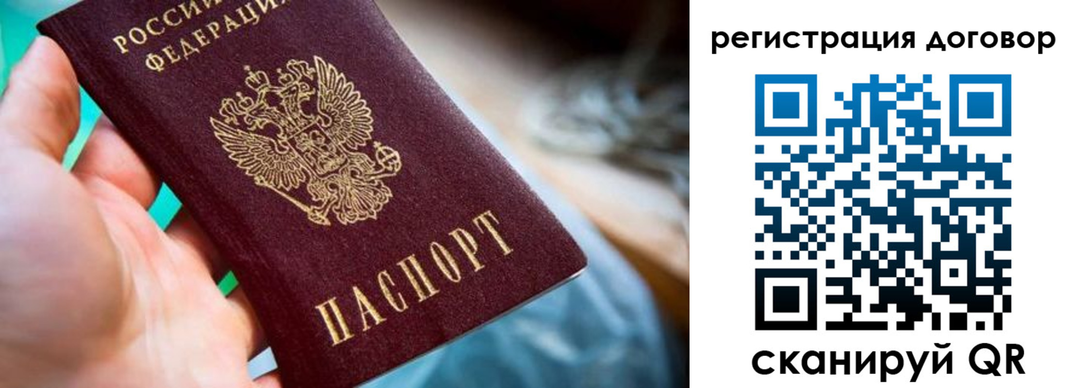 прописка гарантия в Зеленоградске